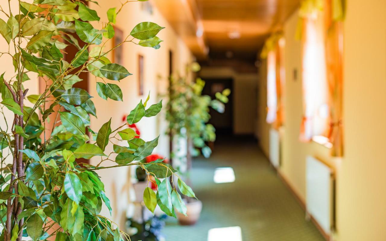 Hotel Garni Steinfeld Vídeňské Nové Město Exteriér fotografie