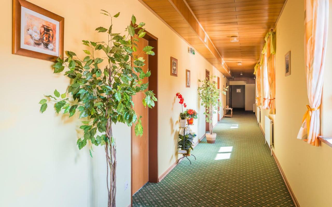 Hotel Garni Steinfeld Vídeňské Nové Město Exteriér fotografie